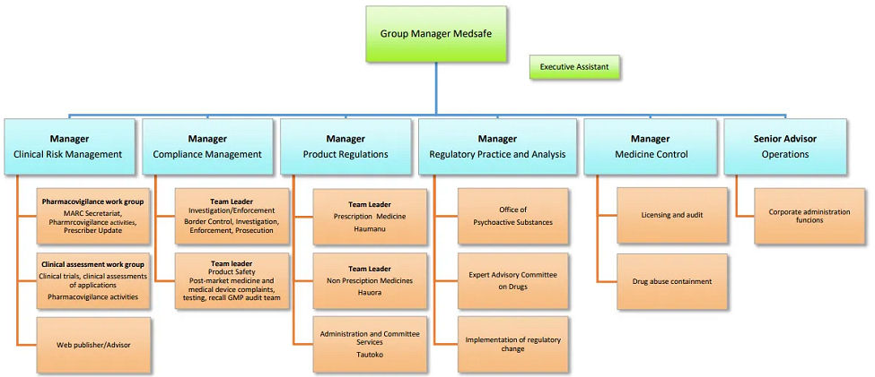 Medsafe Structure: from their website